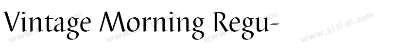 Vintage Morning Regu字体转换
